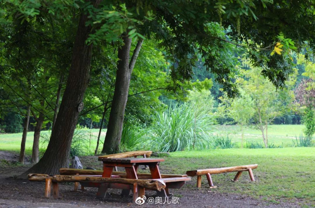 火了火了！成都又新添一个区，地铁10号线直达！夏日纳凉、吃河鲜…3日郊游路线，安排→