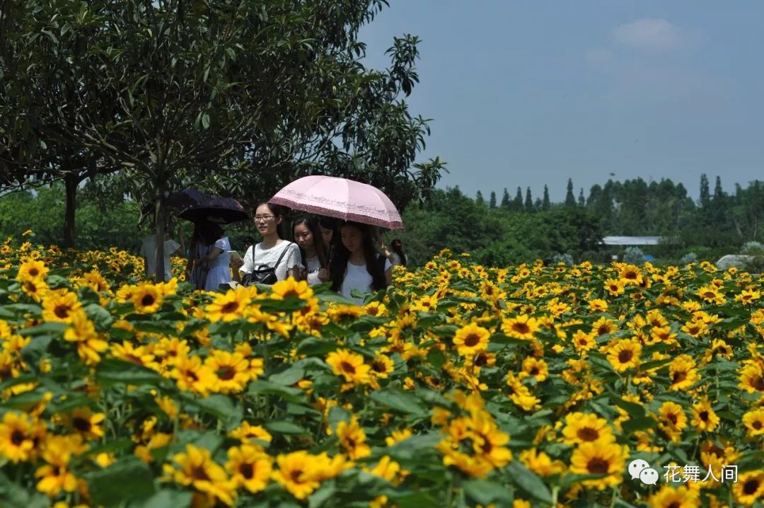 火了火了！成都又新添一个区，地铁10号线直达！夏日纳凉、吃河鲜…3日郊游路线，安排→