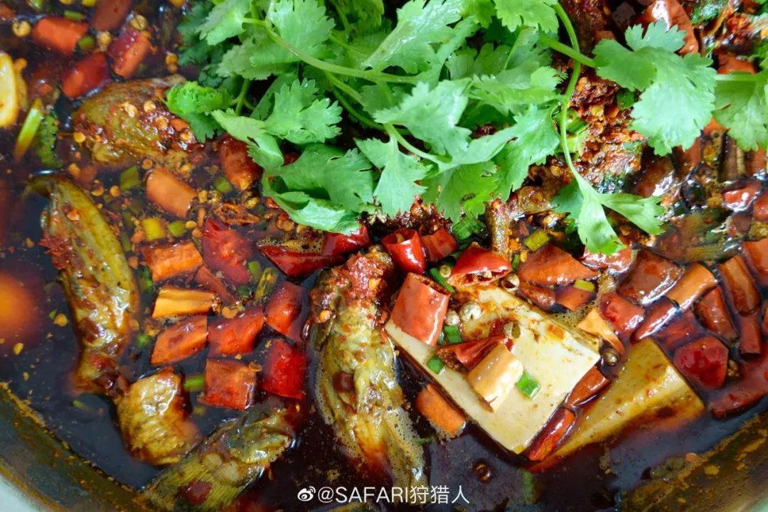 火了火了！成都又新添一个区，地铁10号线直达！夏日纳凉、吃河鲜…3日郊游路线，安排→