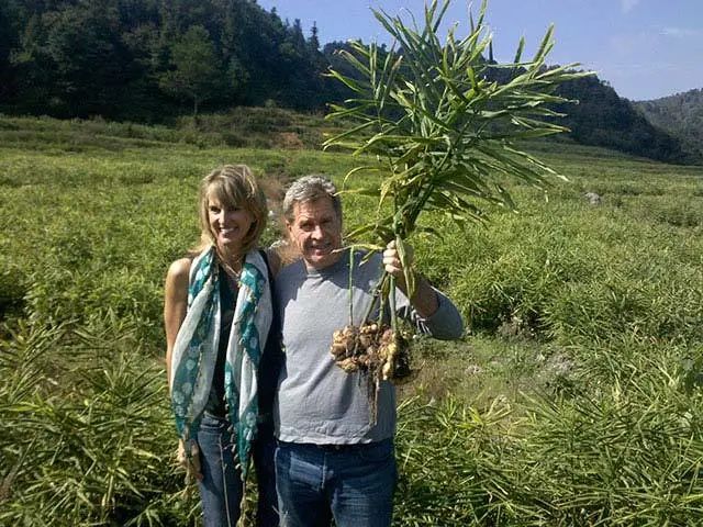 拯救食欲的菜谱,拯救夏日的美食