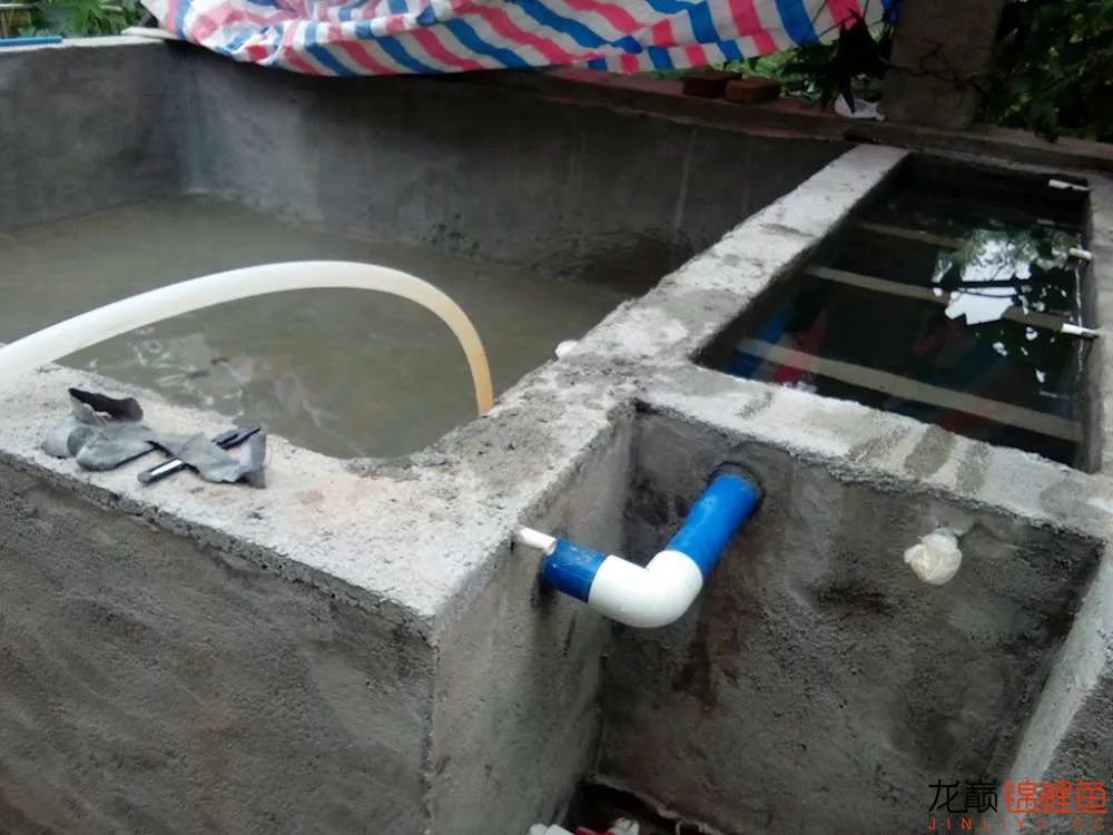 锦鲤池建造施工过程,楼顶怎么施工建锦鲤池