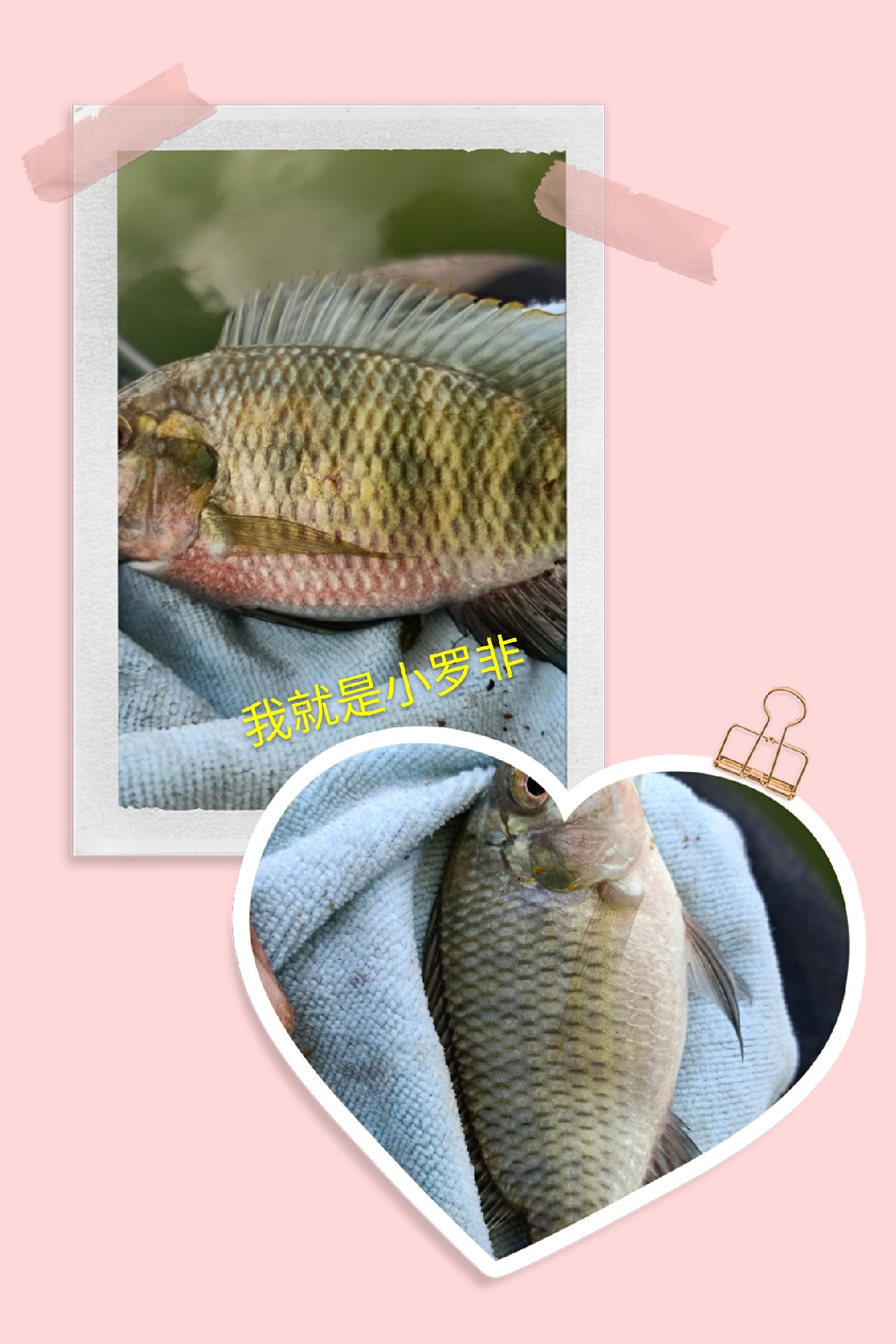 开局即是巅峰第6集,开局即巅峰完整版