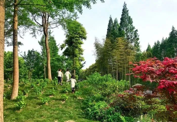 夏日避暑胜地高铁直达,坐动车可直达哪些地方避暑