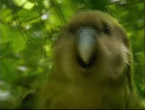 许飞发微博,许飞现在怎样了