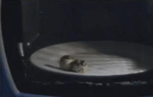 微波炉爆炸后遗症,微波炉爆炸后果