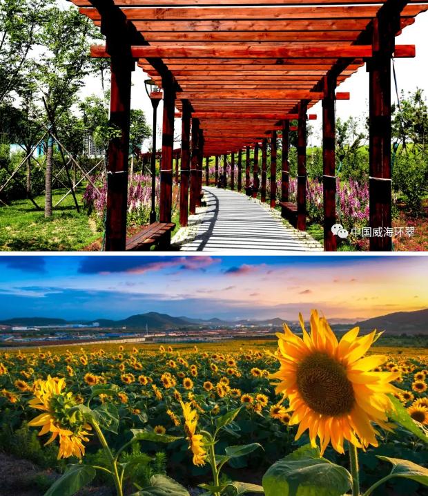 产城融合亮点,威海绿色生态环境示范城