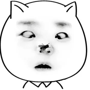 海南特别小的虫子跟小黑点一样大,海南好多黑色小虫子