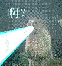 50个匪夷所思的冷知识,人体小知识冷知识