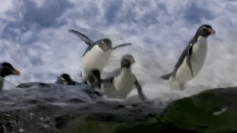 妥妥的知识宝藏！这位妈妈深扒B站，今年暑假学习资源不用愁了