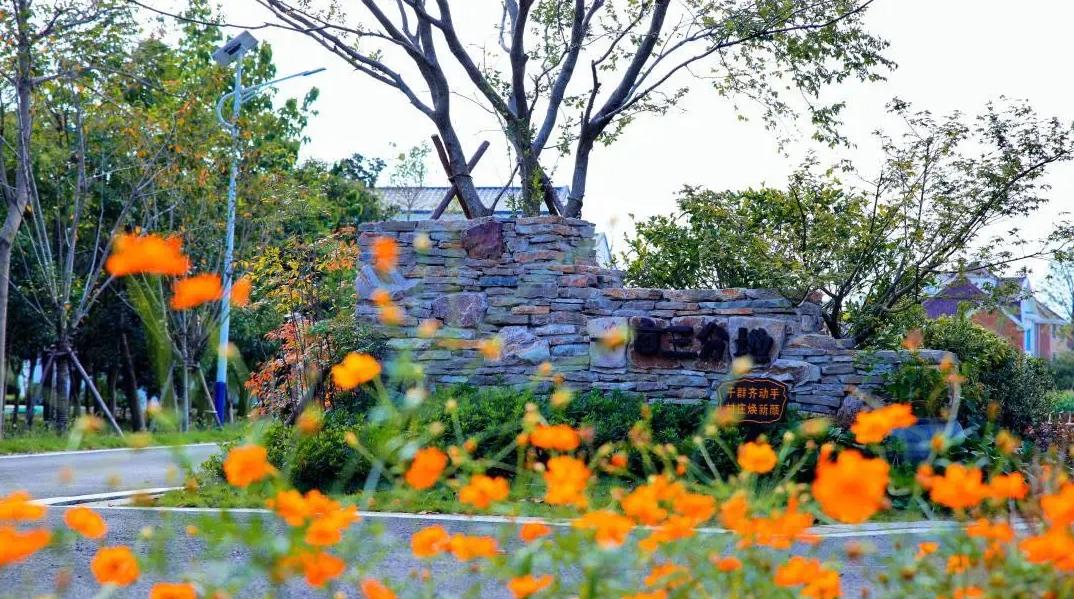 上海乡村振兴产业基地,上海宝山开发定位
