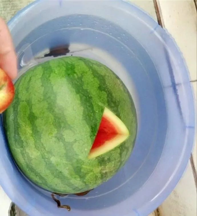 人喝醉之后到底有多搞笑,盘点喝醉的人有多搞笑