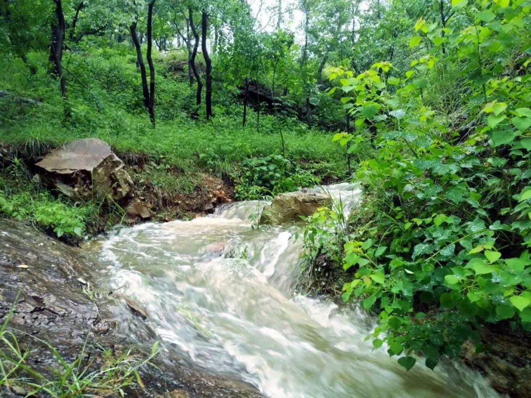 雨天的艾山，宛如人间仙境