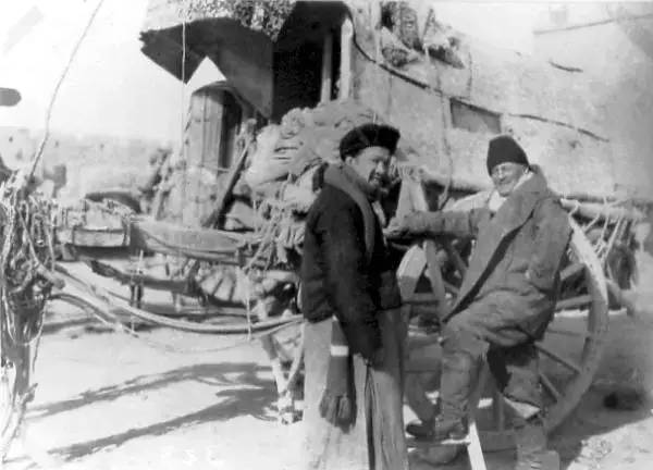 柳向春与徐森玉,柳向春是怎么死的