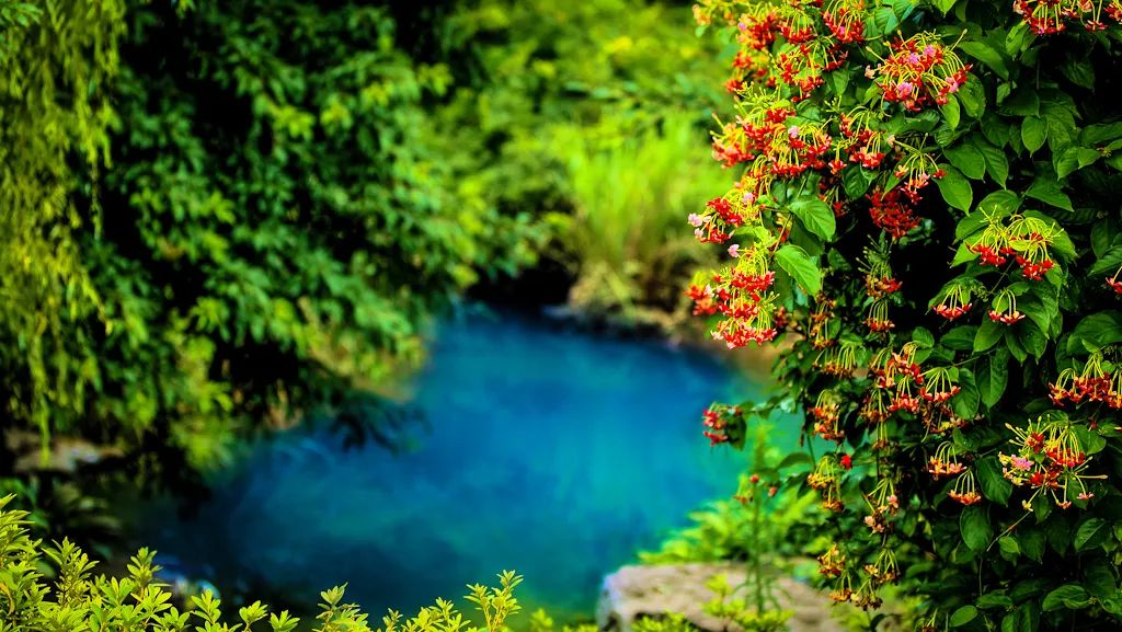比买一送一还划算，全年不涨价！享山水画里329㎡双卧别墅，玩皮划艇漂流