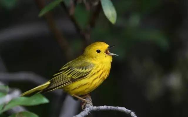 孟州八景,孟州有名的风景