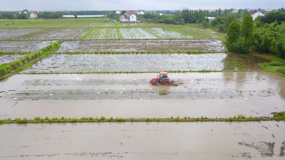 特色产业致富新模式,亿元创业好项目