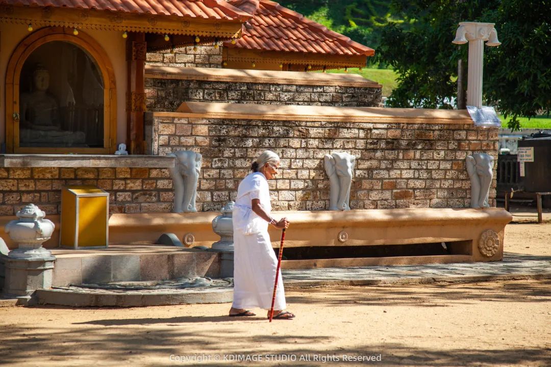 行摄者全球旅拍,旅游摄影相机推荐