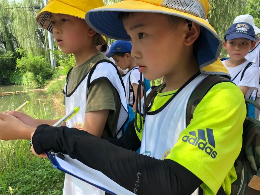 森林探险之旅的目的,神秘的雨林探险之旅