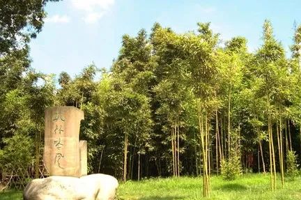 竹山旅游线路大全,竹山周边一日游旅游景点推荐