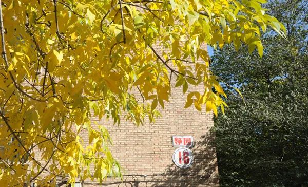 「志愿指导」中国人民大学：A类学科专业在京均投放新增三个实验班项目