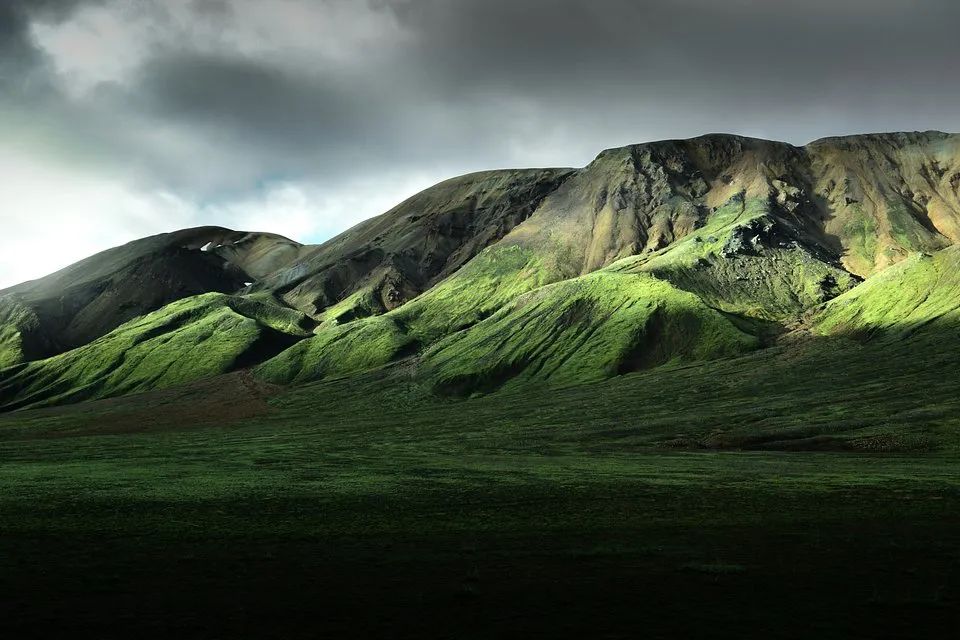 全世界最绿的50张照片