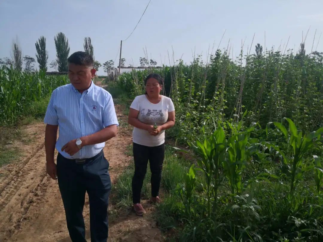 “领头羊”张立：“四十烂店”到“贺兰第一村”