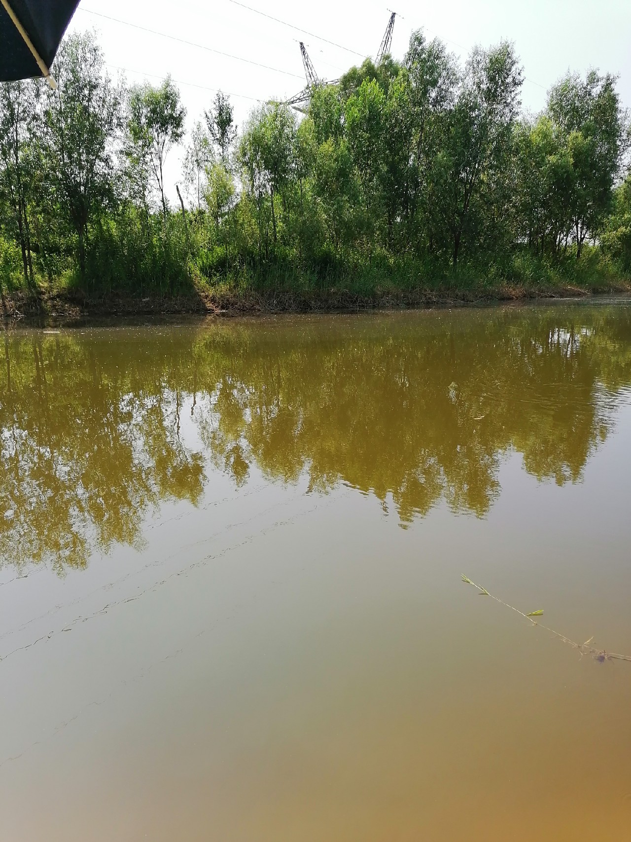 河边野钓小鲫鱼,野钓小河沟钓鲫鱼突然停口