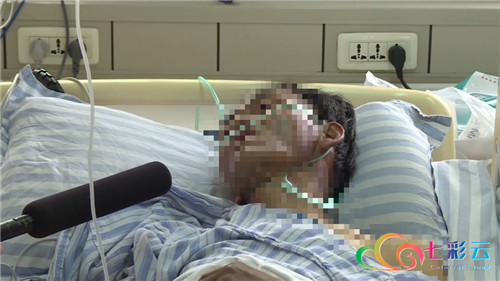 云南楚雄野生菌中毒,楚雄州野生菌中毒