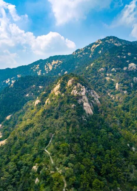 免费！半价！1000000个产品等你来撩“好客山东游品荟”来啦