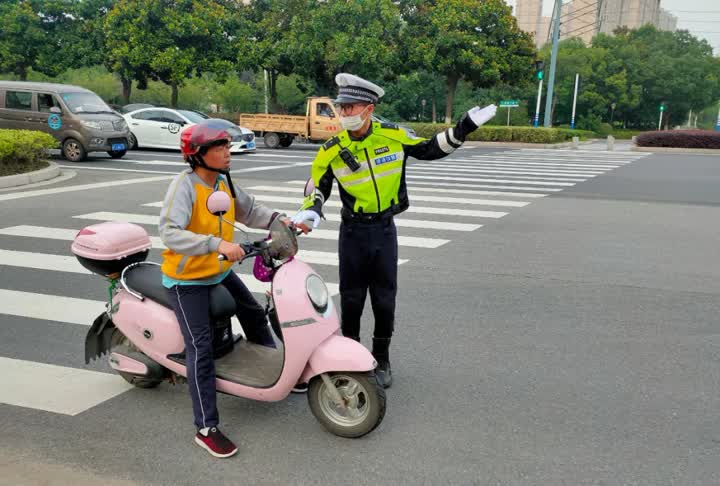 南通发现流浪狗应该找哪个部门,鹿城滨江开展流浪犬整治行动