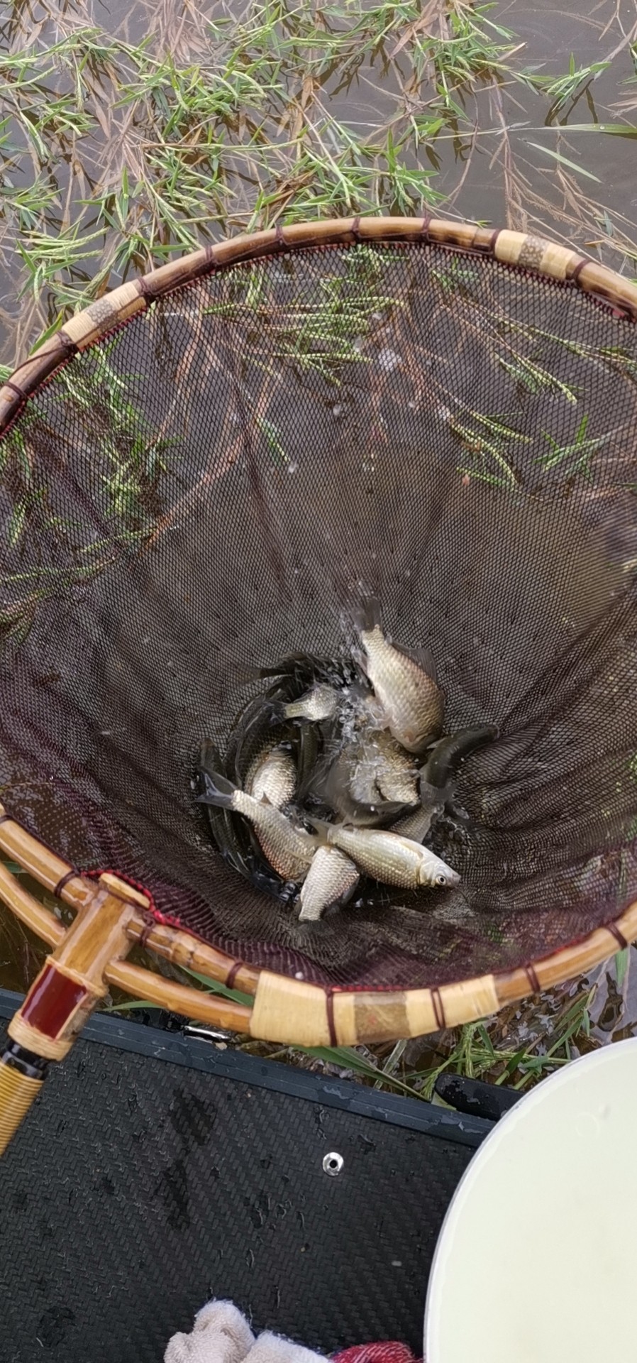 玩了多年的并继和碳素竿，总是在不断的折腾和寻找