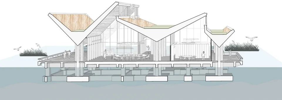 探索崇明东滩湿地公园的奥秘,崇明东滩湿地科研中心