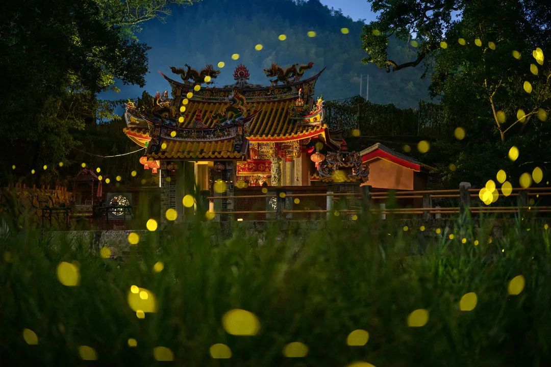 夏日萤火虫的夜晚,夏天萤火虫的夜景