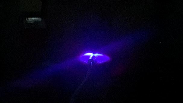 本月收获的夏日至宝|最贵的RMB369