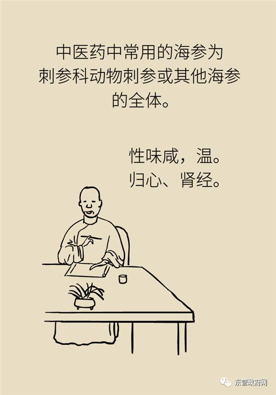 三种人不宜吃海参的原因,海参的吃法大忌