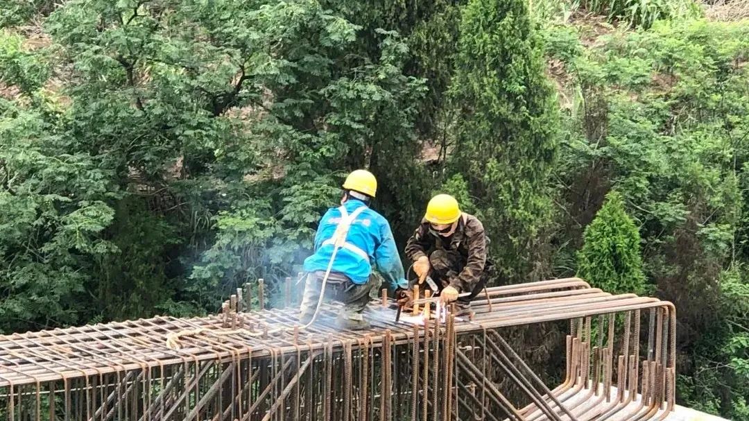 成眉市域铁路s5线最新进展,市域铁路s5仁寿支线