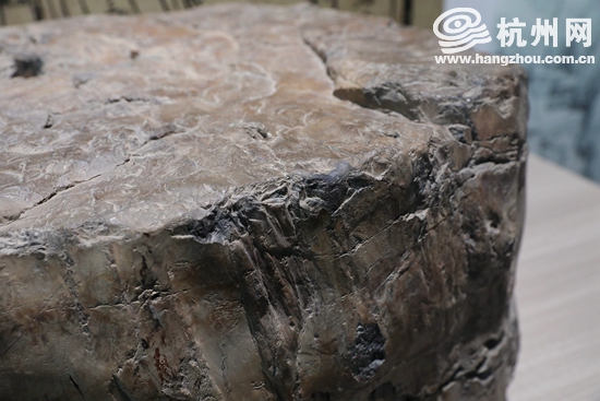 杭州南宋官窑窑址出土标本图片,南宋文物展杭州