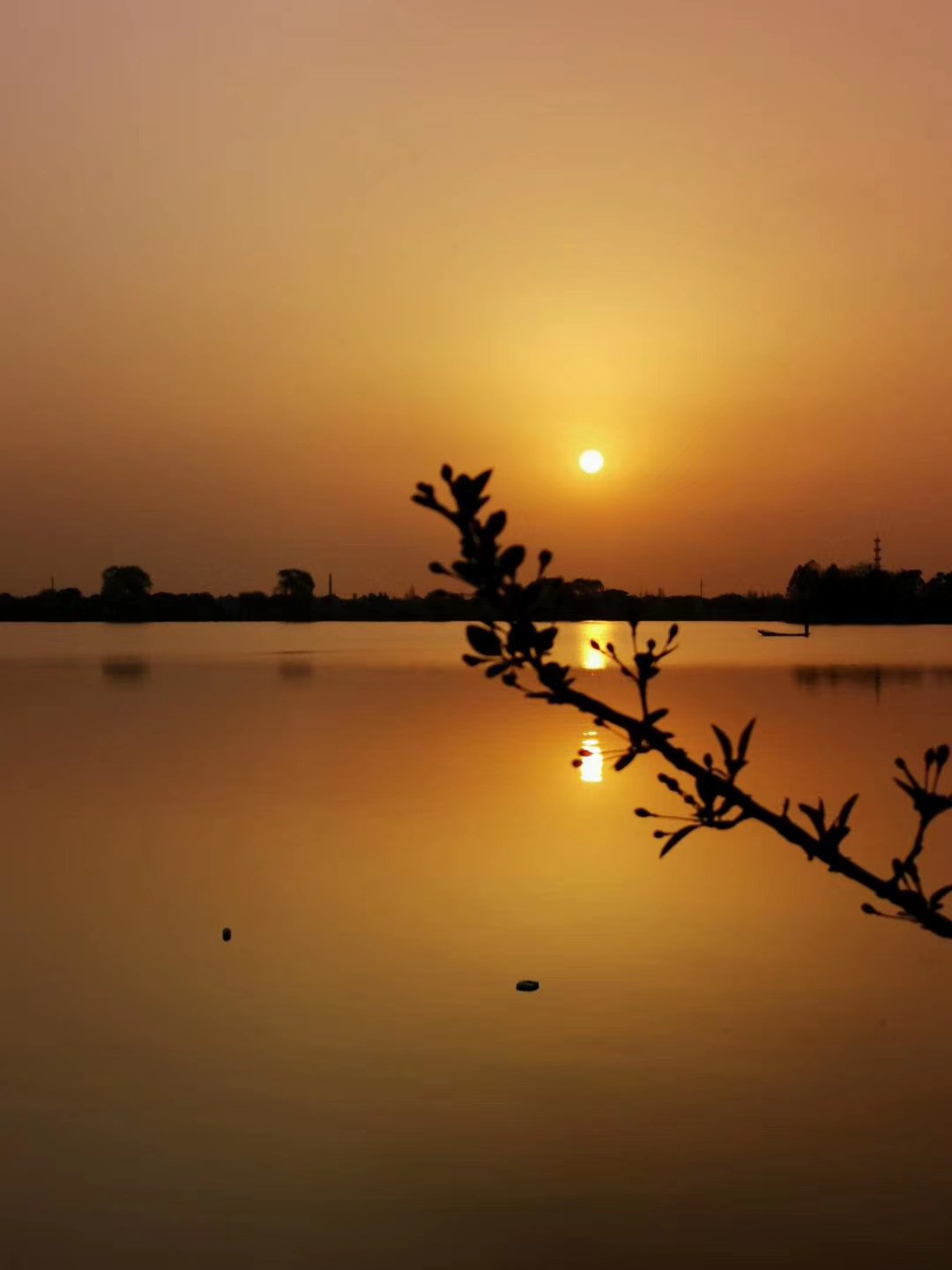 走青浦听江南｜“万水千砖”双祥村，百花十人好田园