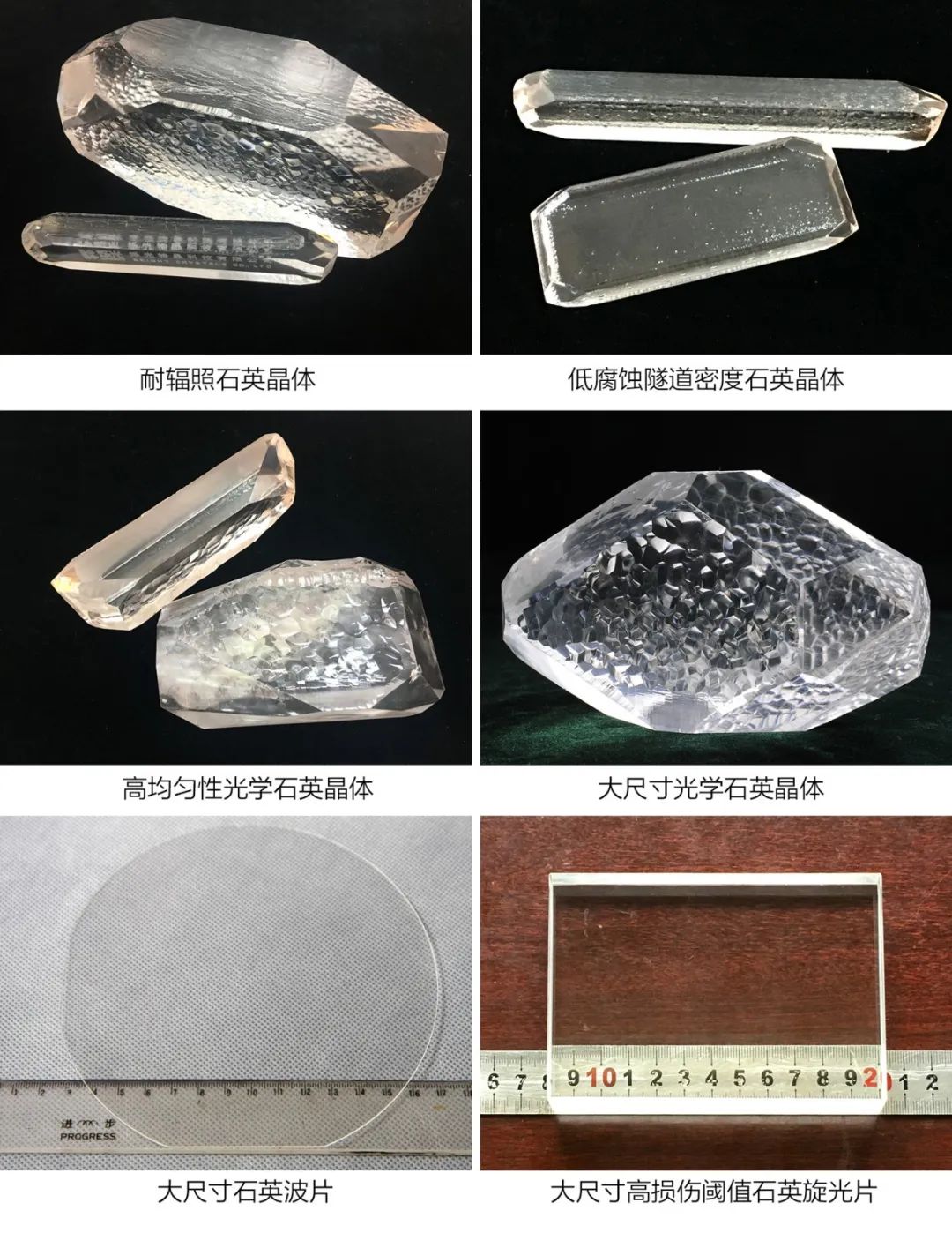 小料观察神秘生物,小料科普大师