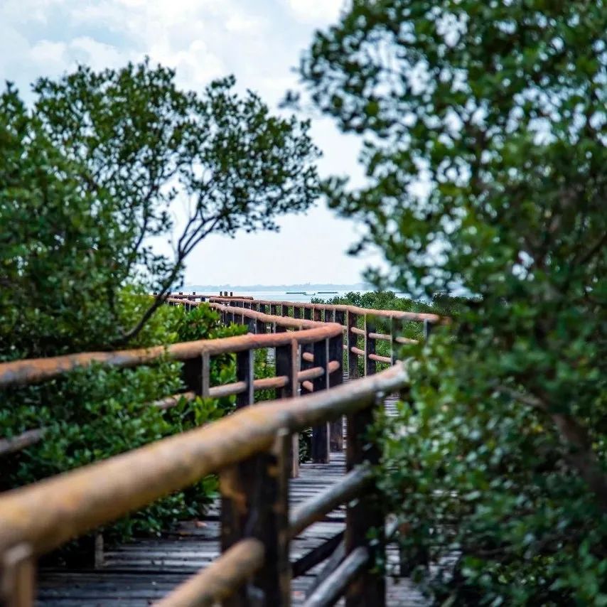 泡温泉爬山休闲的好去处,泡温泉沙雕