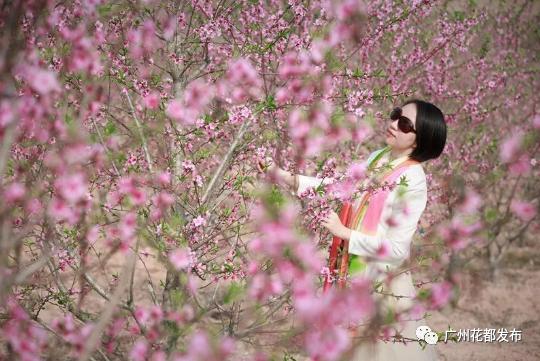 花都这些村超级棒!快来助力!