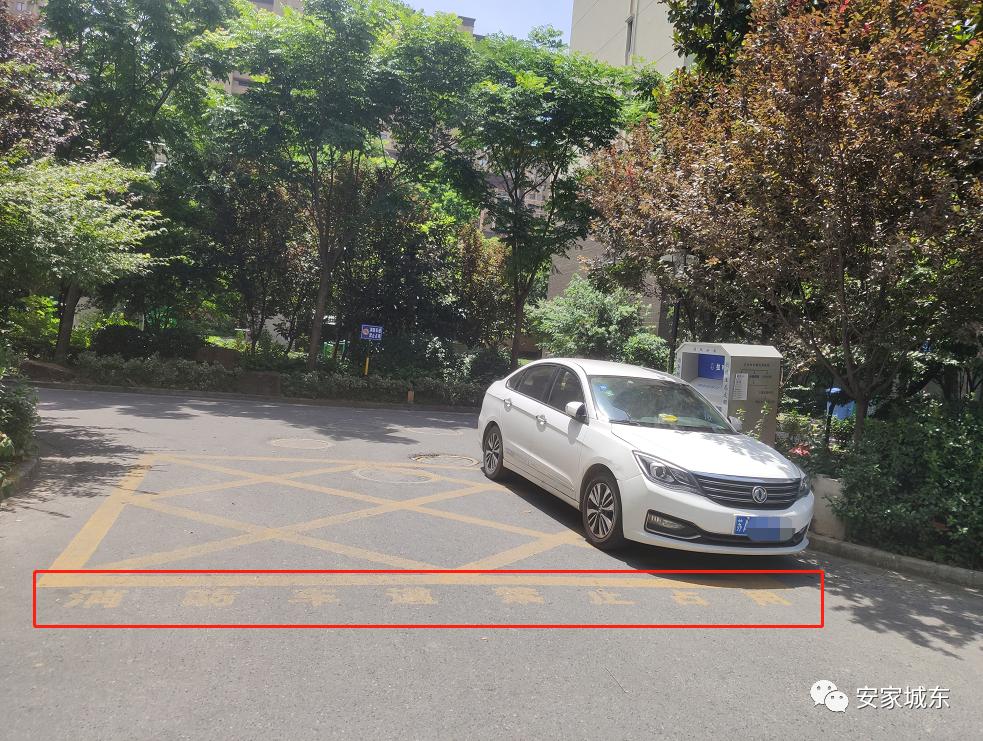 小区堵车物业处理不了,小区内经常堵车怎么投诉物业