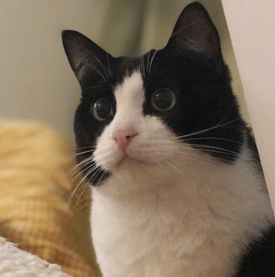 比螺蛳粉好吃的是什么粉啊,比螺蛳粉还好吃的东西是什么