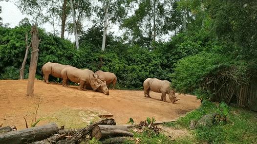长隆乐园欢乐世界,广州长隆游玩注意事项