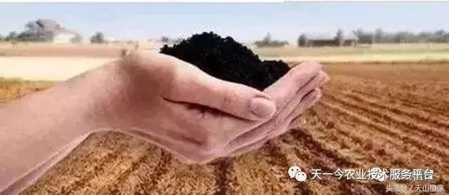 枯草芽孢杆菌能跟杀菌剂一起用么,枯草芽孢杆菌不能混什么杀菌剂