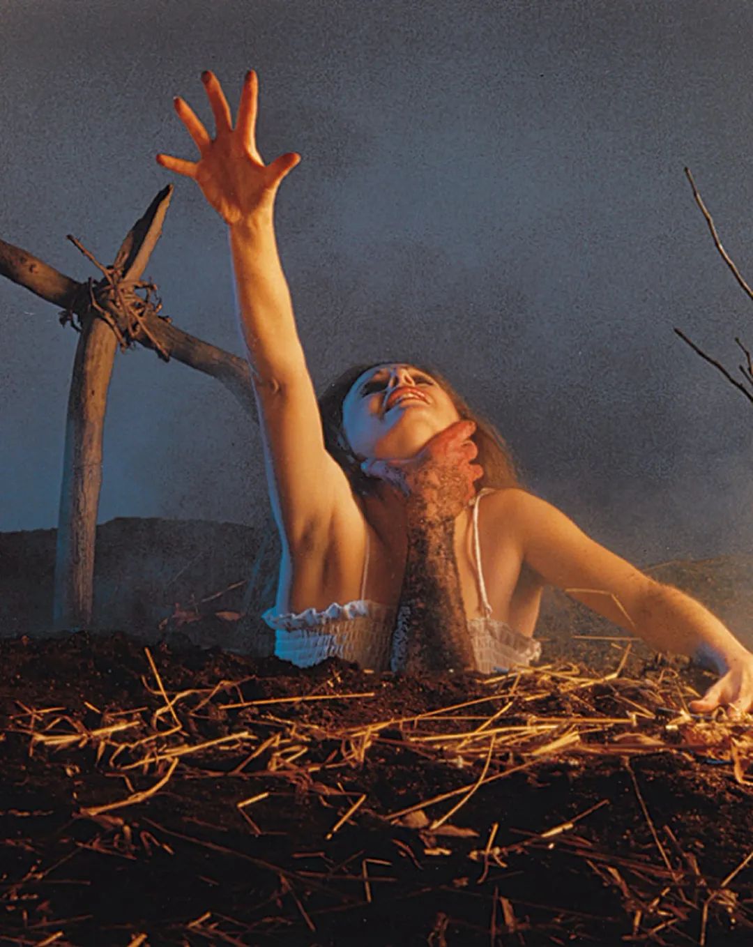 上世纪80年代的恐怖电影,八十年代恐怖片电影大全