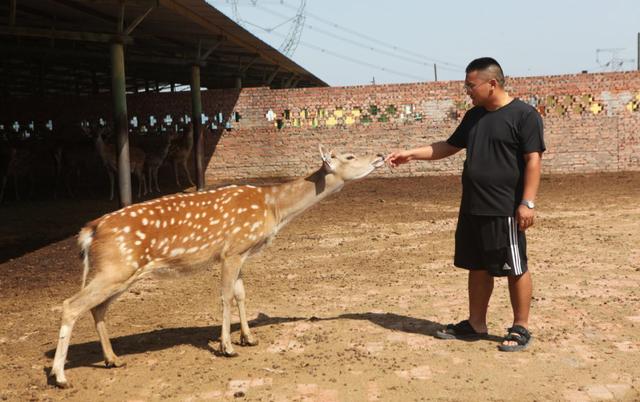 府谷县吴烜铺的故事：孤儿.贫困.创业.反哺