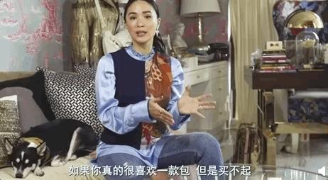 爱马仕20w包,20w的爱马仕包包