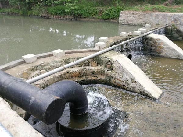 金锣厂生产全过程,金锣公司生产车间