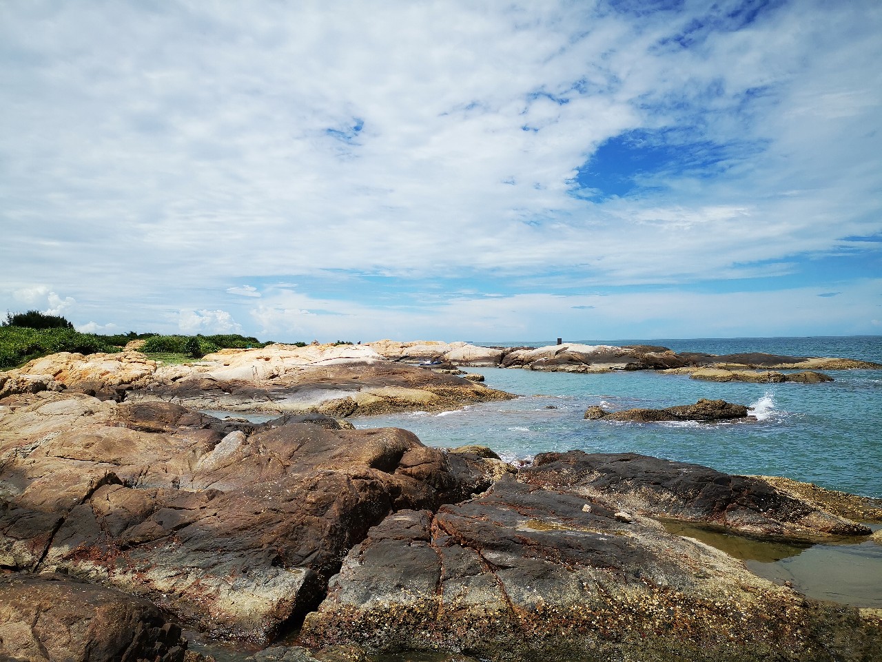 去小河边野采非常好看的观赏鱼,漂亮的观赏鱼美景